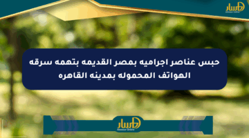 حبس عناصر إجرامية بمصر القديمة بتهمة سرقة الهواتف المحمولة بمدينة القاهرة